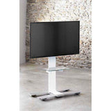 Salamander Designs Acadia Mobile Stand, X-Large Fixed Height, 600W Vesa (White) - Creation Networks