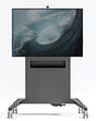 Salamander Fixed Height, Mobile Stand for Surface Hub 2S 50″ - Creation Networks