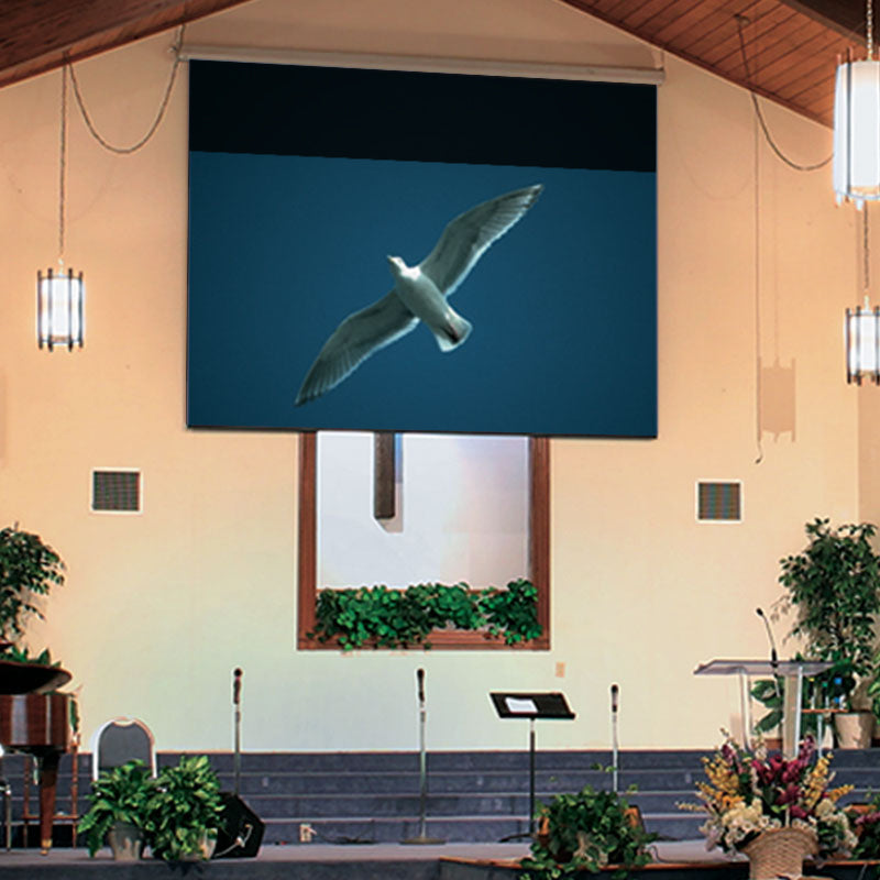 Draper Targa 15 foot NTSC free-hanging electric projection screen