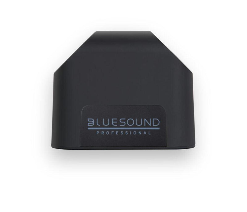 Bluesound BSP200 Network Streaming Speaker (Black) - Creation Networks
