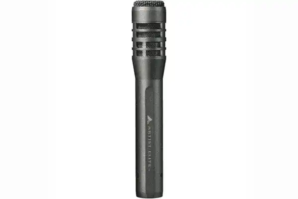 Audio-Technica AE5100 Large-Diaphragm Cardioid Instrument Microphone - Creation Networks