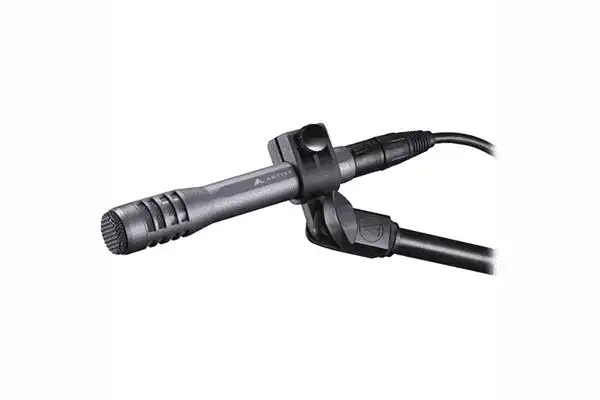 Audio-Technica AE5100 Large-Diaphragm Cardioid Instrument Microphone - Creation Networks