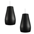 Biamp Desono P6 Pendant, Indoor/Outdoor 6.5" Coaxial Loudspeaker, Raindrop Profile (Pair, Black) - 911.0921.900 - Creation Networks