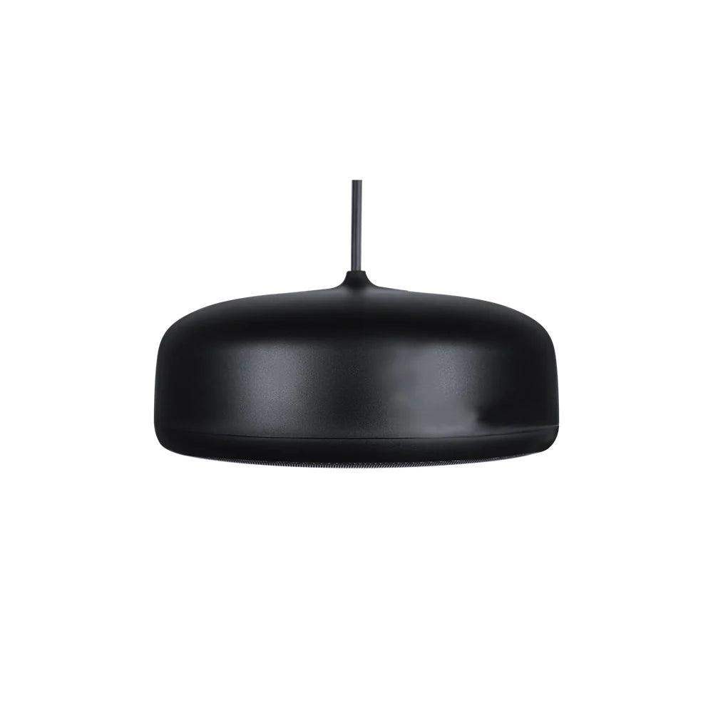 Biamp Desono P6-SM Pendant, Indoor/Outdoor 6.5" Coaxial Loudspeaker, Sunshine Profile (Pair, Black) - 911.0923.900 - Creation Networks