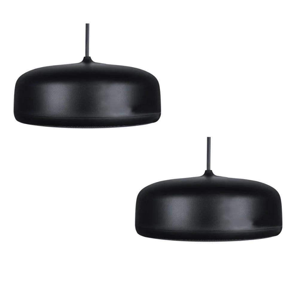 Biamp Desono P6-SM Pendant, Indoor/Outdoor 6.5" Coaxial Loudspeaker, Sunshine Profile (Pair, Black) - 911.0923.900 - Creation Networks