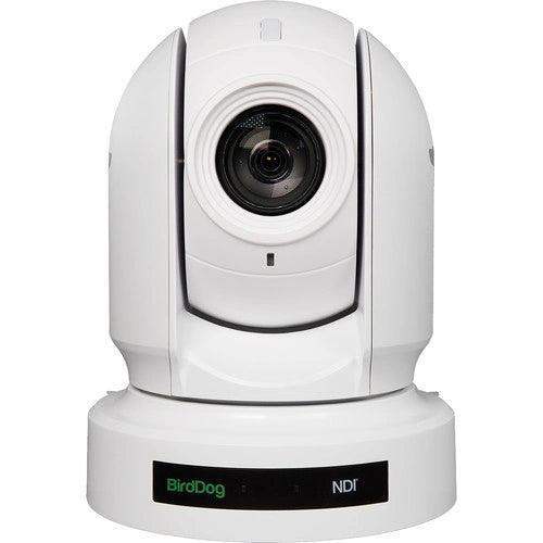 BirdDog EYES P400 4K 10-Bit Full NDI PTZ Camera with Sony Sensor (White) - BDP400W - Creation Networks