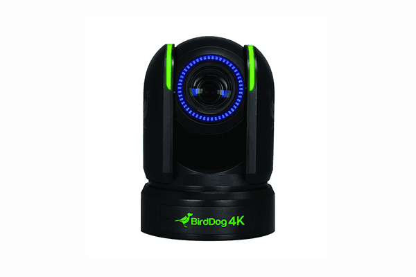 Birddog P4K 12x Full NDI PTZ Camera (Black) - BDP4K - Creation Networks