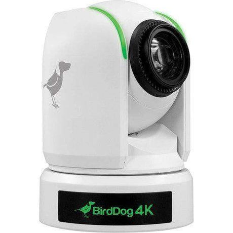 BirdDog P4K 4K Full NDI PTZ Camera with 1" Sony Sensor (White) - BDP4KWHITE - Creation Networks
