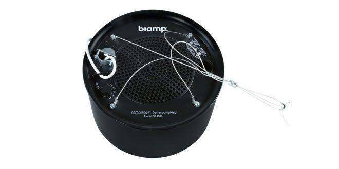 Cambridge Sound DS1339B Dynasound sound masking speaker (Black) - 911.0708.900 - Creation Networks