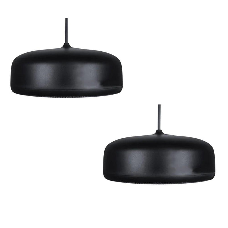 Biamp Desono P6-SM Pendant, Indoor/Outdoor 6.5" Coaxial Loudspeaker, Sunshine Profile (Pair, Black) - 911.0923.900