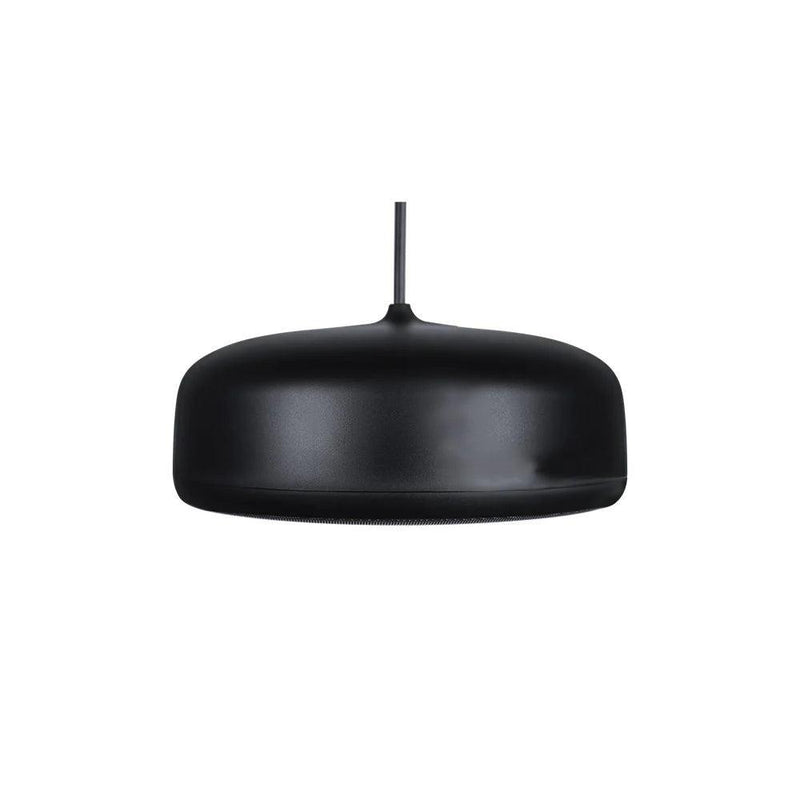 Biamp Desono P6-SM Pendant, Indoor/Outdoor 6.5" Coaxial Loudspeaker, Sunshine Profile (Pair, Black) - 911.0923.900