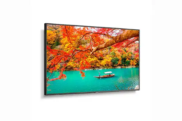 Sharp 43" Wide Color Gamut Ultra High Definition Professional Display with integrated SoC MediaPlayer with CMS platform - MA431-MPI4E Displays Sharp