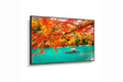 NEC 43" Wide Color Gamut Ultra High Definition Professional Display with PCAP touch - MA431-PT - Creation Networks
