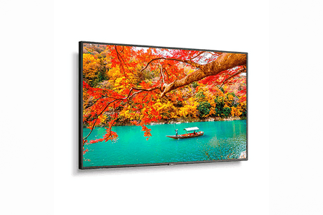 NEC 43" Wide Color Gamut Ultra High Definition Professional Display with PCAP touch - MA431-PT - Creation Networks