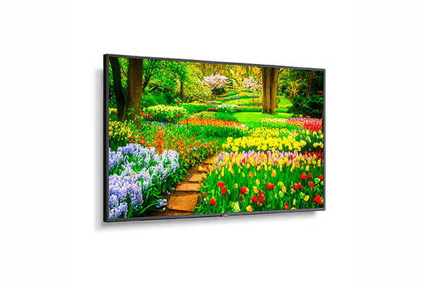 NEC 49" Ultra High Definition Professional Display with integrated SoC MediaPlayer with CMS platform - M491-MPI4E - Creation Networks