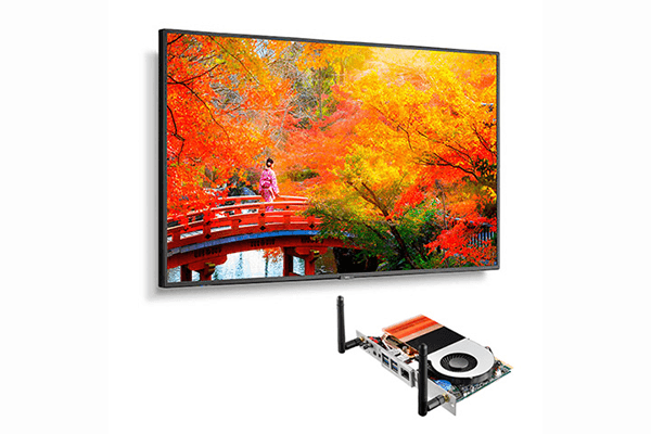 NEC 49" Wide Color Gamut Ultra High Definition Professional Display - MA491-IR - Creation Networks