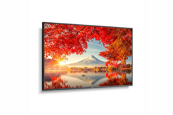 NEC 55" Wide Color Gamut Ultra High Definition Professional Display with integrated SoC MediaPlayer with CMS platform - MA551-MPI4E - Creation Networks