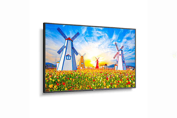 NEC 65" Ultra High Definition Professional Display - M651 - Creation Networks