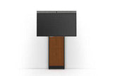 Salamander STRUT 170 WALL STAND Universal VESA Mount - Creation Networks