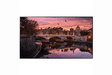 Samsung QB75R-B 75"3840x2160 4K LED 16/7 - Black - Creation Networks