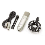 Tascam TM-80 Large-Diaphragm Cardioid Condenser Microphone - Creation Networks