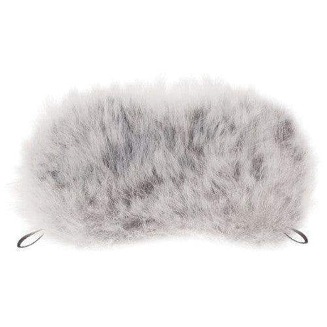 Tascam WS-11 Windscreen for DR Series Handheld Recorders - Creation Networks